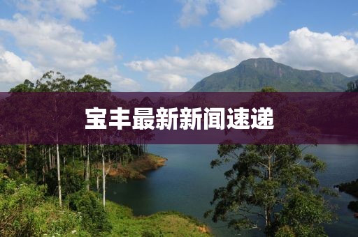 寶豐最新新聞速遞