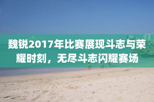魏銳2017年比賽展現(xiàn)斗志與榮耀時(shí)刻,無(wú)盡斗志閃耀賽場(chǎng)