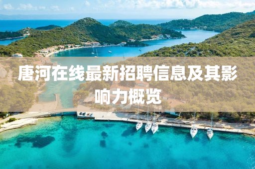 唐河在線最新招聘信息及其影響力概覽