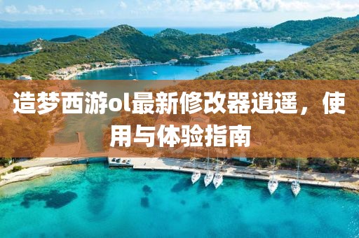 造夢西游ol最新修改器逍遙,使用與體驗指南