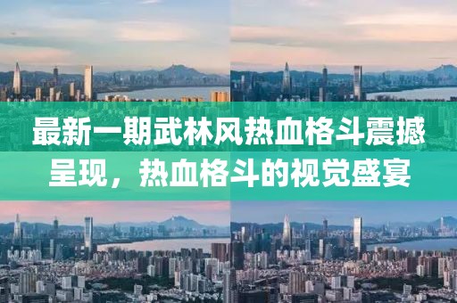 最新一期武林風熱血格斗震撼呈現，熱血格斗的視覺盛宴