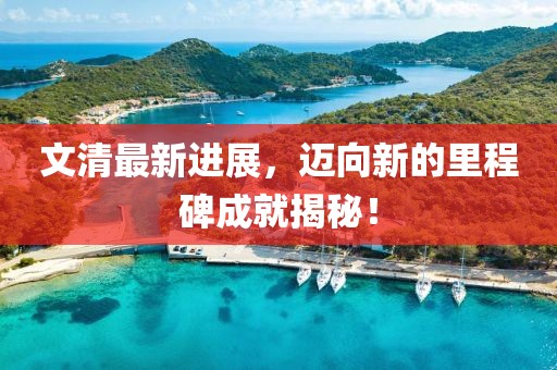 文清最新進(jìn)展,邁向新的里程碑成就揭秘!