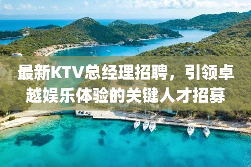 最新KTV總經理招聘,引領卓越娛樂體驗的關鍵人才招募