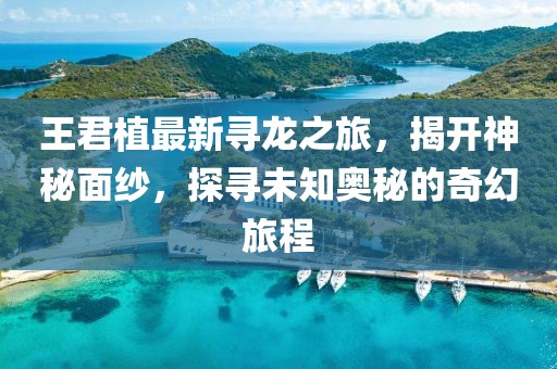 王君植最新尋龍之旅,揭開神秘面紗,探尋未知奧秘的奇幻旅程