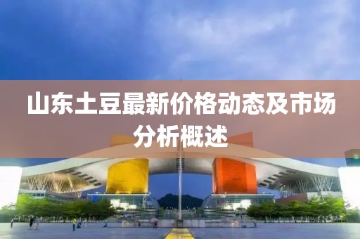 山東土豆最新價格動態(tài)及市場分析概述