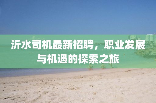沂水司機最新招聘，職業發展與機遇的探索之旅