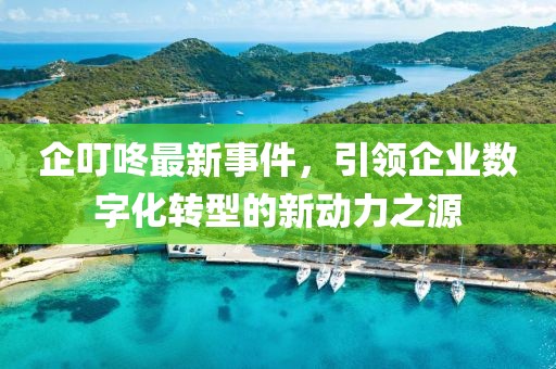企叮咚最新事件,引領企業數字化轉型的新動力之源