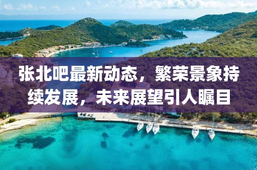 張北吧最新動態，繁榮景象持續發展，未來展望引人矚目