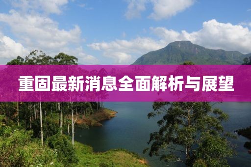 重固最新消息全面解析與展望