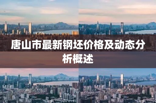 唐山市最新鋼坯價格及動態(tài)分析概述