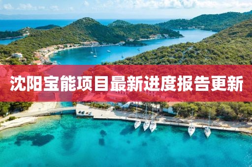 沈陽寶能項目最新進度報告更新