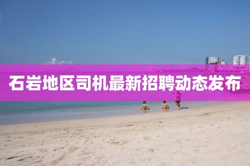 石巖地區司機最新招聘動態發布