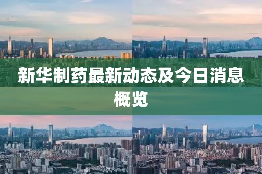 新華制藥最新動態及今日消息概覽