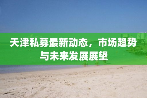 天津私募最新動態，市場趨勢與未來發展展望