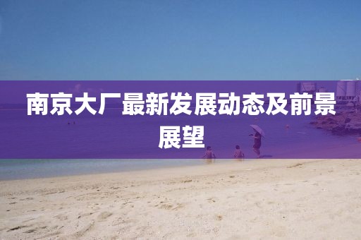 南京大廠最新發(fā)展動態(tài)及前景展望