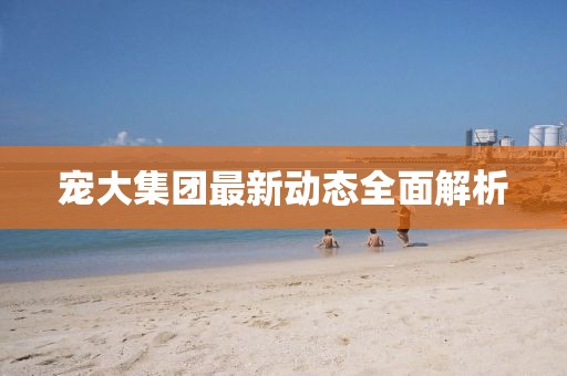 寵大集團最新動態全面解析