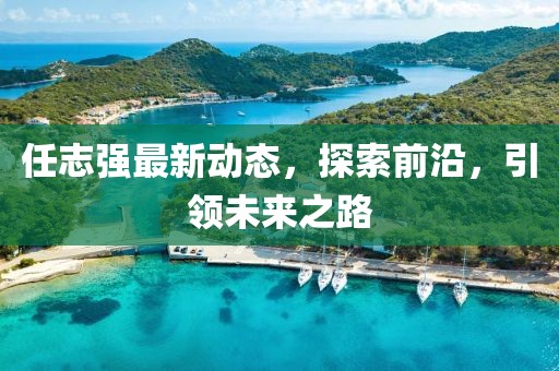 任志強最新動態，探索前沿，引領未來之路