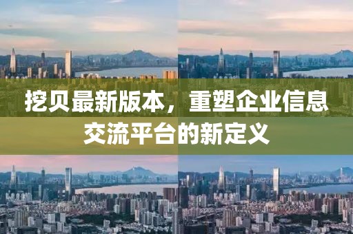 挖貝最新版本，重塑企業信息交流平臺的新定義