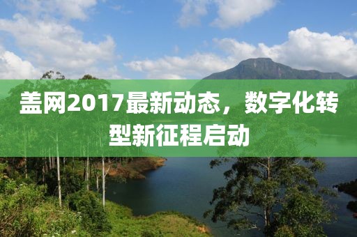 蓋網2017最新動態，數字化轉型新征程啟動