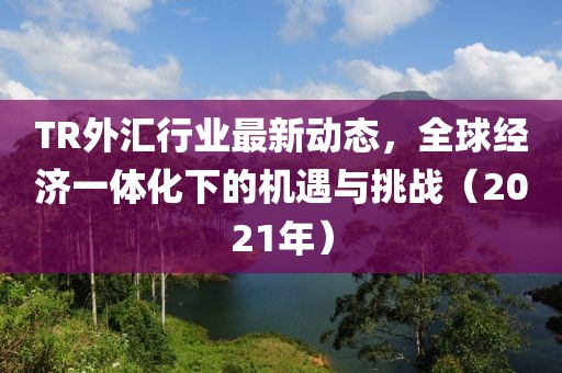 TR外匯行業最新動態，全球經濟一體化下的機遇與挑戰（2021年）