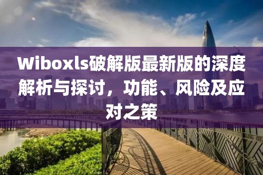 Wiboxls破解版最新版的深度解析與探討,功能、風險及應對之策