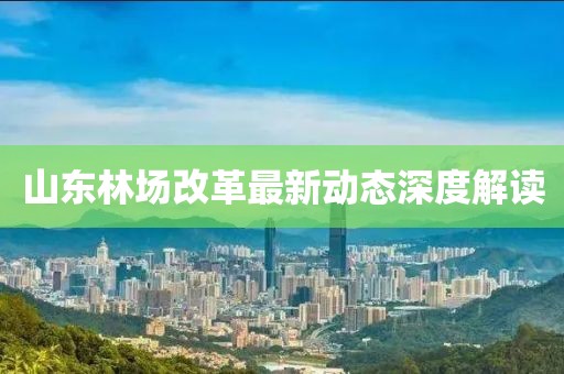 山東林場改革最新動態深度解讀