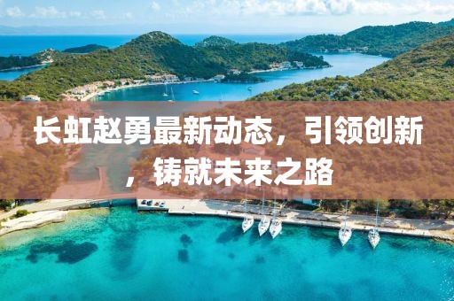 長虹趙勇最新動態，引領創新，鑄就未來之路