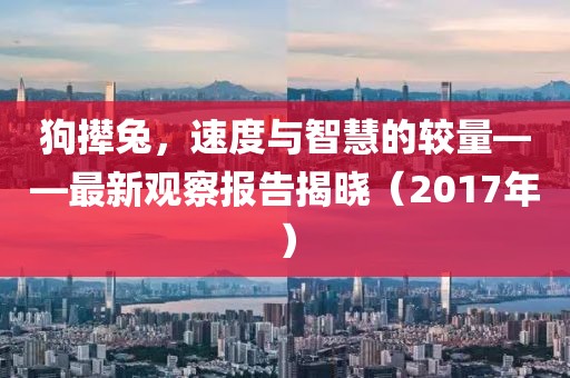 狗攆兔，速度與智慧的較量——最新觀察報告揭曉（2017年）