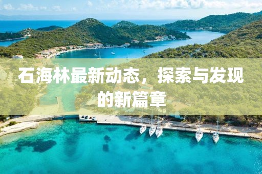 石海林最新動態，探索與發現的新篇章