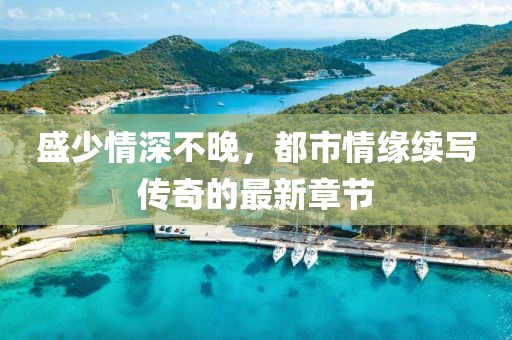 盛少情深不晚，都市情緣續寫傳奇的最新章節