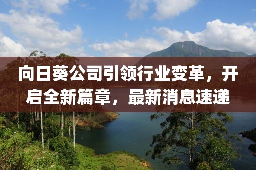 向日葵公司引領行業變革，開啟全新篇章，最新消息速遞