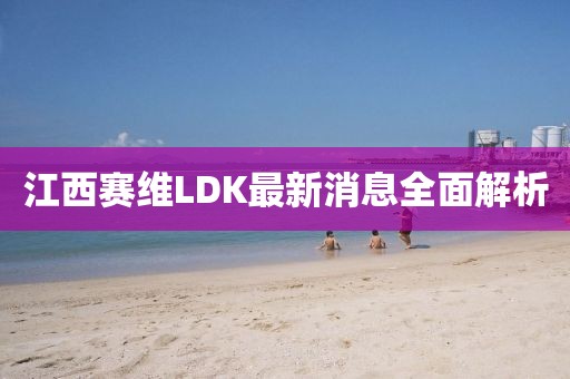 江西賽維LDK最新消息全面解析