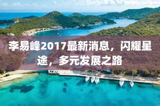 李易峰2017最新消息,閃耀星途,多元發(fā)展之路