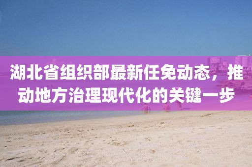 湖北省組織部最新任免動態，推動地方治理現代化的關鍵一步