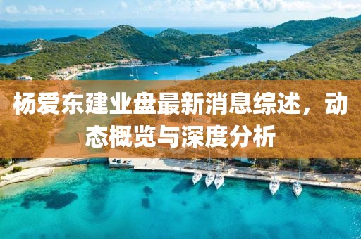 楊愛東建業(yè)盤最新消息綜述,動態(tài)概覽與深度分析