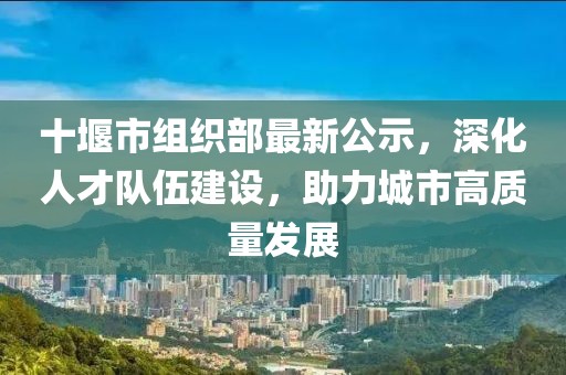十堰市組織部最新公示，深化人才隊伍建設，助力城市高質量發展