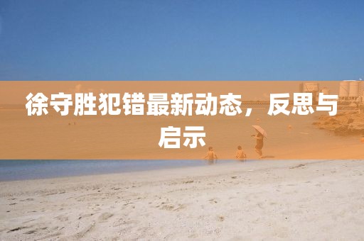 徐守勝犯錯最新動態，反思與啟示
