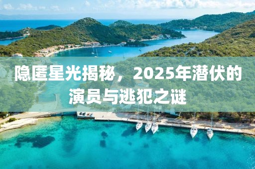 隱匿星光揭秘，2025年潛伏的演員與逃犯之謎