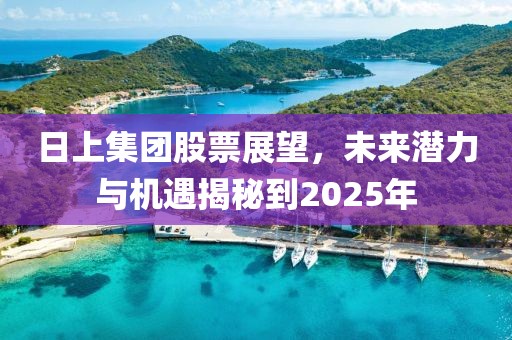 日上集團股票展望,未來潛力與機遇揭秘到2025年