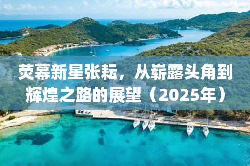 熒幕新星張耘，從嶄露頭角到輝煌之路的展望（2025年）