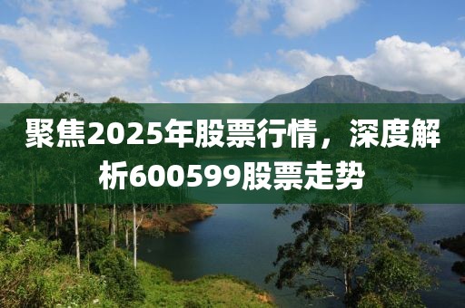 聚焦2025年股票行情，深度解析600599股票走勢
