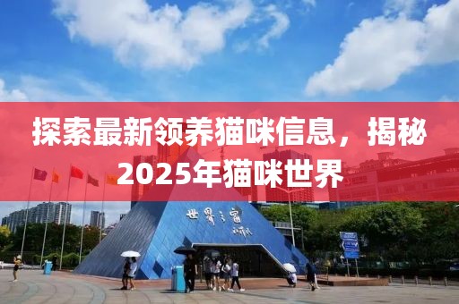 探索最新領養貓咪信息，揭秘2025年貓咪世界