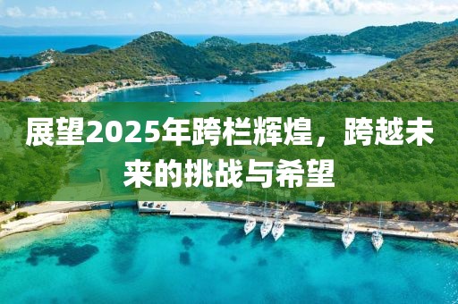 展望2025年跨欄輝煌，跨越未來的挑戰(zhàn)與希望