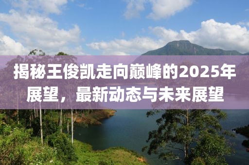 揭秘王俊凱走向巔峰的2025年展望，最新動態與未來展望