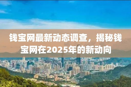 錢寶網最新動態調查，揭秘錢寶網在2025年的新動向