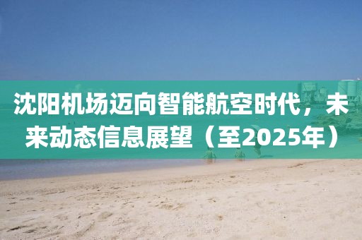 沈陽機場邁向智能航空時代，未來動態信息展望（至2025年）