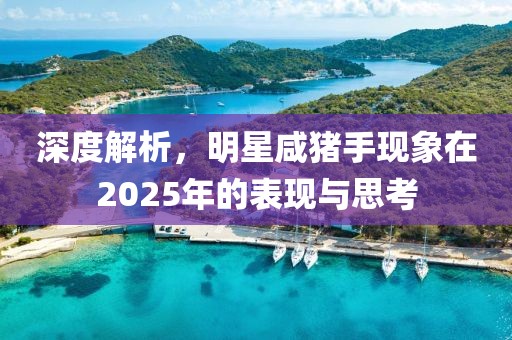 深度解析，明星咸豬手現(xiàn)象在2025年的表現(xiàn)與思考