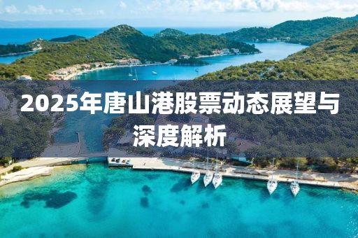 2025年唐山港股票動態(tài)展望與深度解析