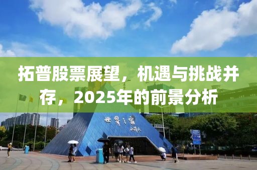 拓普股票展望，機遇與挑戰并存，2025年的前景分析