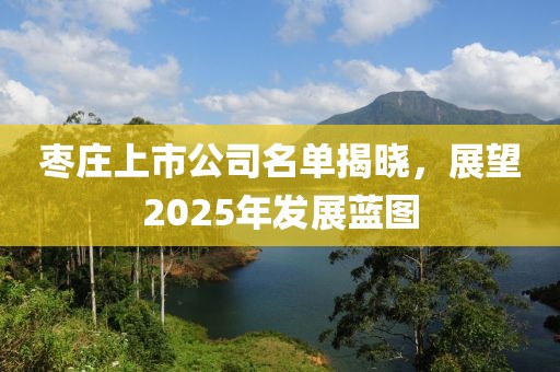 棗莊上市公司名單揭曉，展望2025年發(fā)展藍(lán)圖
